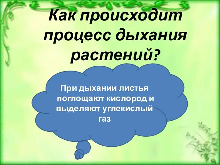 Как происходит процесс дыхания растений? При дыхании листья поглощают кислород и выделяют углекислый газ