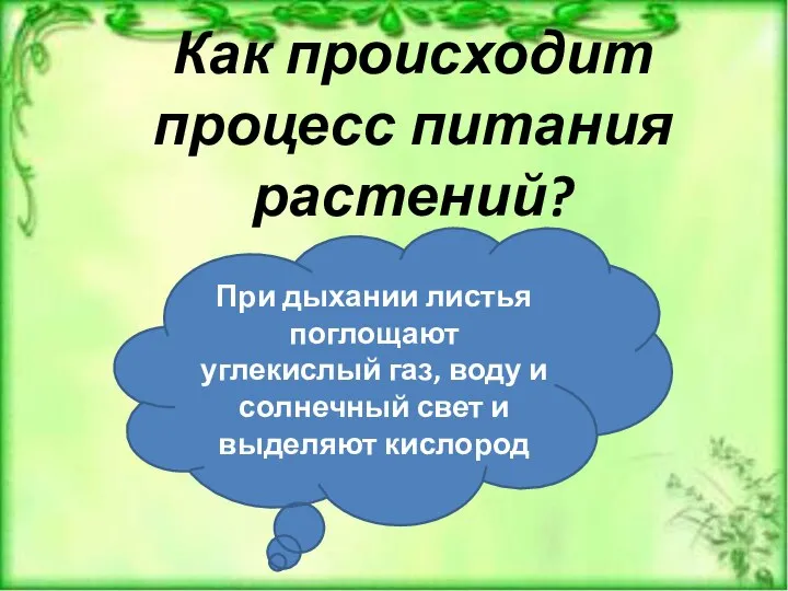 Как происходит процесс питания растений? При дыхании листья поглощают углекислый газ, воду