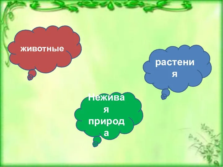 животные Неживая природа растения