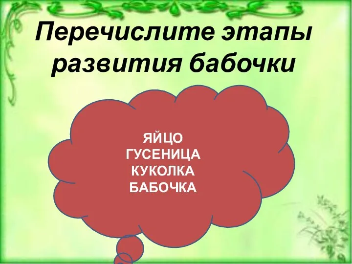 Перечислите этапы развития бабочки ЯЙЦО ГУСЕНИЦА КУКОЛКА БАБОЧКА