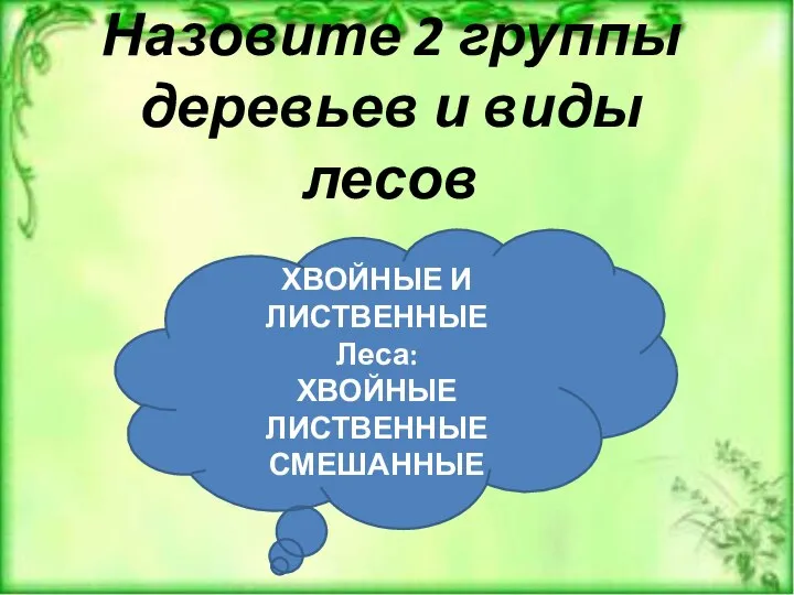 Назовите 2 группы деревьев и виды лесов ХВОЙНЫЕ И ЛИСТВЕННЫЕ Леса: ХВОЙНЫЕ ЛИСТВЕННЫЕ СМЕШАННЫЕ