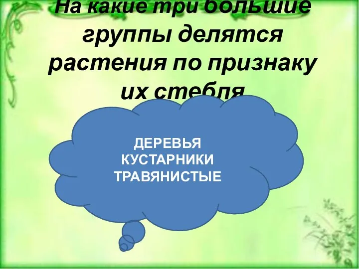 На какие три большие группы делятся растения по признаку их стебля ДЕРЕВЬЯ КУСТАРНИКИ ТРАВЯНИСТЫЕ