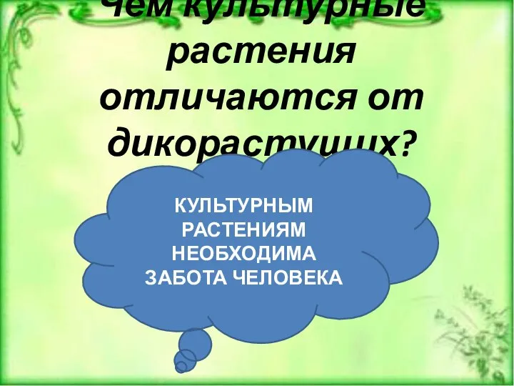 Чем культурные растения отличаются от дикорастущих? КУЛЬТУРНЫМ РАСТЕНИЯМ НЕОБХОДИМА ЗАБОТА ЧЕЛОВЕКА