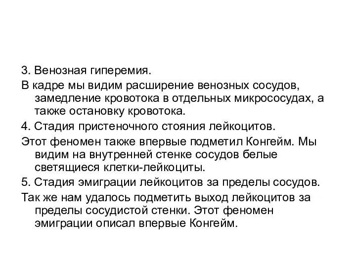 3. Венозная гиперемия. В кадре мы видим расширение венозных сосудов, замедление кровотока