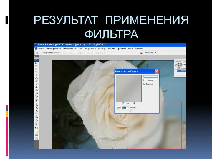 РЕЗУЛЬТАТ ПРИМЕНЕНИЯ ФИЛЬТРА Gaussian Blur