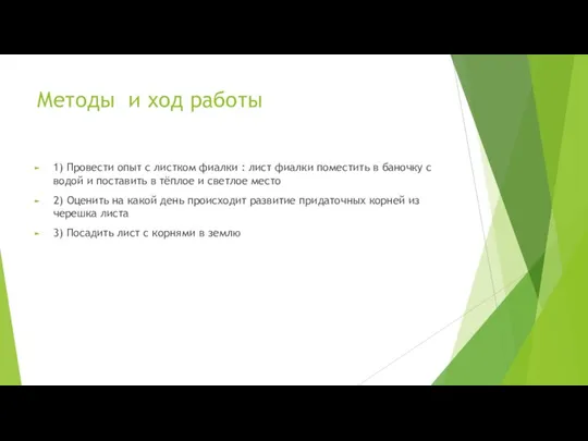 Методы и ход работы 1) Провести опыт с листком фиалки : лист