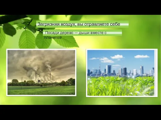 Загрязняя воздух, вы отравляете себе жизнь Посади дерево — дыши вместе с планетой