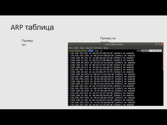 ARP таблица Пример vpc Пример на ubuntu