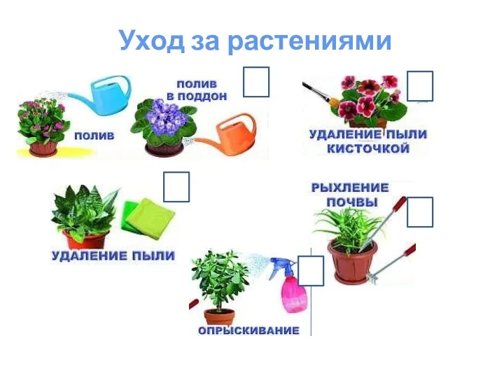 Уход за растениями