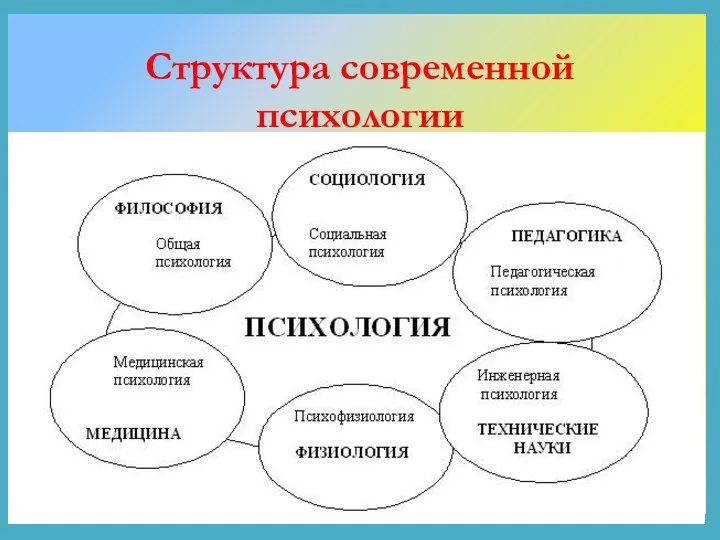 Структура современной психологии