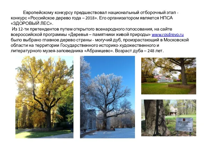 Европейскому конкурсу предшествовал национальный отборочный этап - конкурс «Российское дерево года –