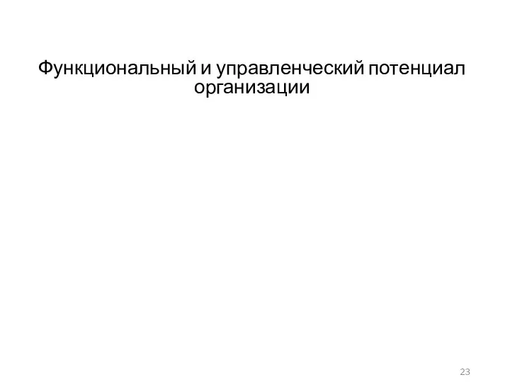 Функциональный и управленческий потенциал организации