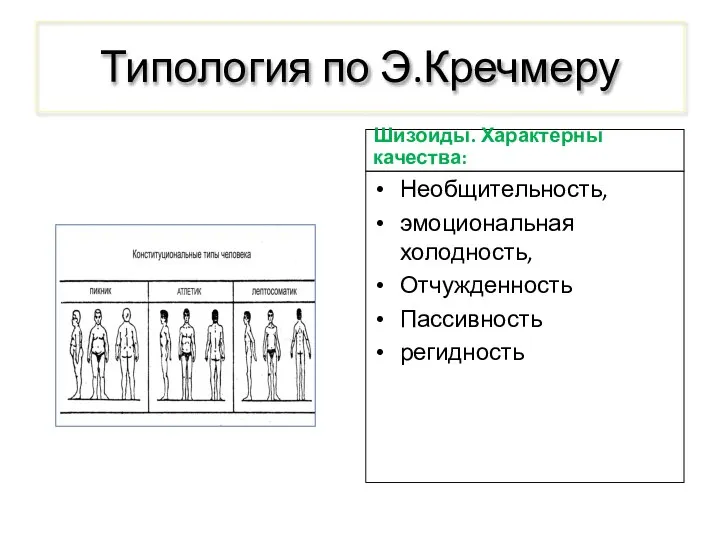 Типология по Э.Кречмеру Шизоиды. Характерны качества: Необщительность, эмоциональная холодность, Отчужденность Пассивность регидность