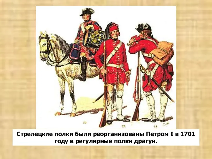 Стрелецкие полки были реорганизованы Петром I в 1701 году в регулярные полки драгун.