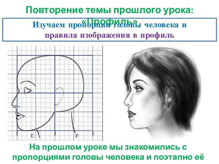 Повторение темы прошлого урока: «Профиль» Изучаем пропорции головы человека и правила изображения