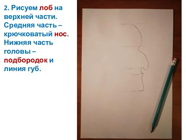 2. Рисуем лоб на верхней части. Средняя часть – крючковатый нос. Нижняя