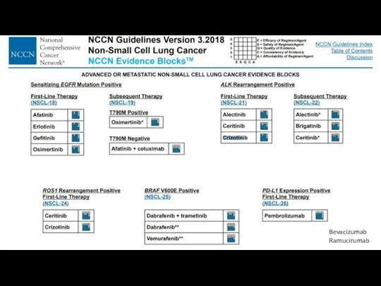 Bevacizumab Ramucirumab