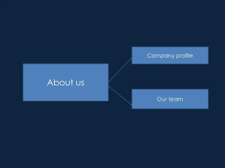 About us Company profile Our team