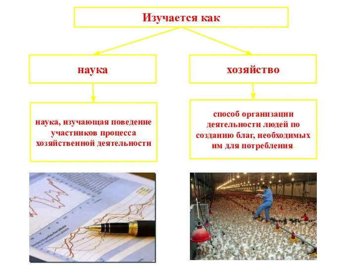 Изучается как наука хозяйство способ организации деятельности людей по созданию благ, необходимых