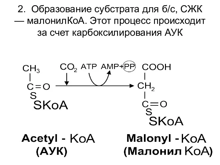 2. Образование субстрата для б/с, СЖК — малонилКоА. Этот процесс происходит за счет карбоксилирования АУК