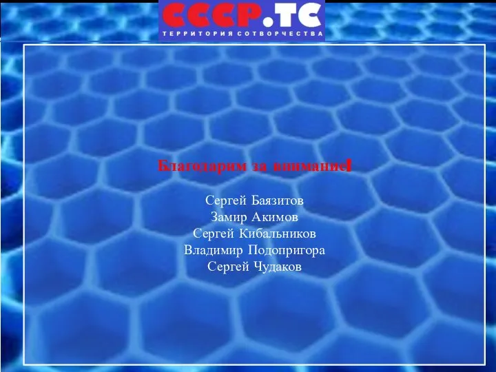 Благодарим за внимание! Сергей Баязитов Замир Акимов Сергей Кибальников Владимир Подопригора Сергей Чудаков