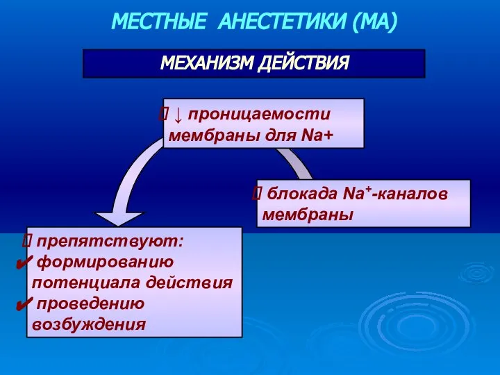 МЕХАНИЗМ ДЕЙСТВИЯ МЕСТНЫЕ АНЕСТЕТИКИ (МА)