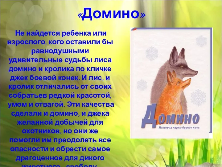 «Домино» Не найдется ребенка или взрослого, кого оставили бы равнодушными удивительные судьбы