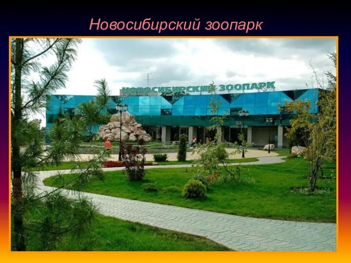 Новосибирский зоопарк