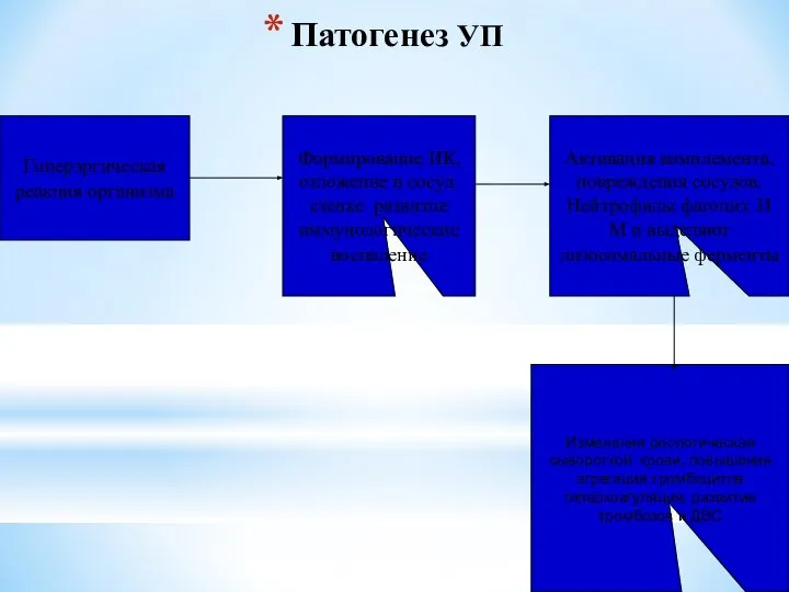 Патогенез УП Гиперэргическая реакция организма Формирование ИК, отложение в сосуд. стенке развитие