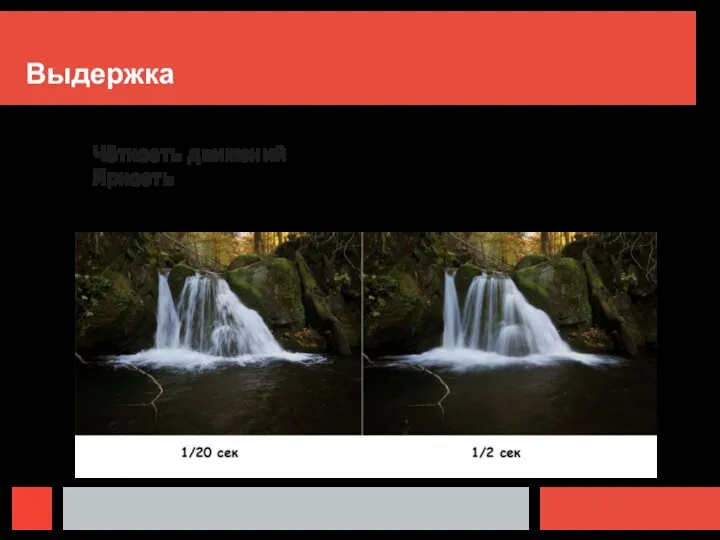 Выдержка Чёткость движений Яркость