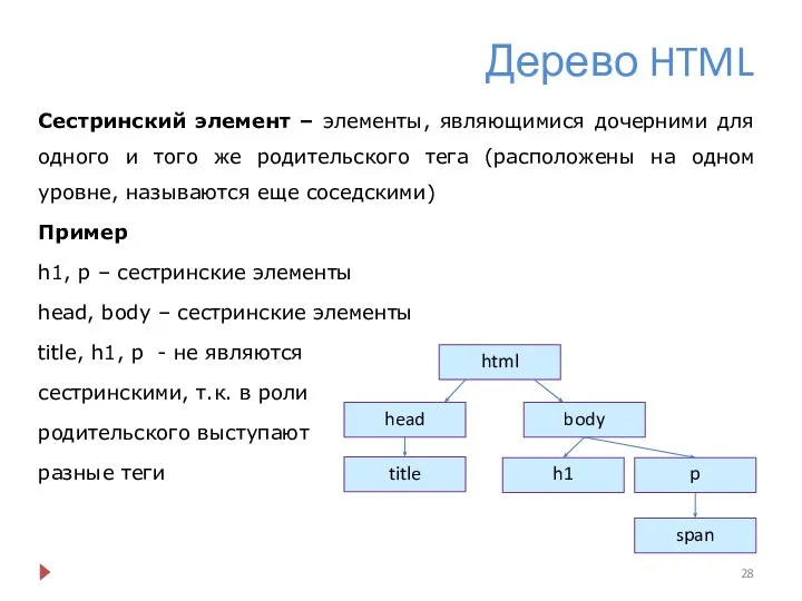 Дерево HTML Сестринский элемент – элементы, являющимися дочерними для одного и того