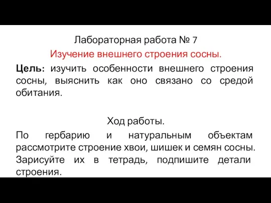 Лабораторная работа № 7 Изучение внешнего строения сосны. Цель: изучить особенности внешнего