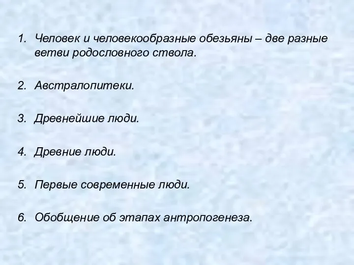 Человек и человекообразные обезьяны – две разные ветви родословного ствола. Австралопитеки. Древнейшие