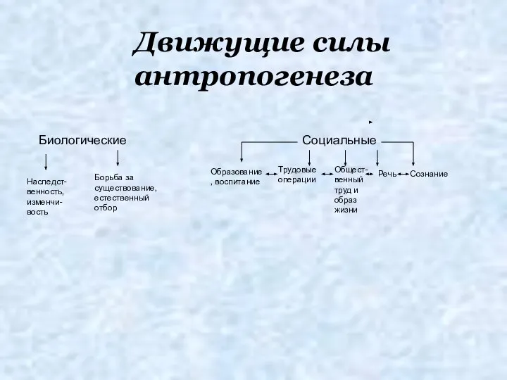 Движущие силы антропогенеза Биологические Наследст-венность, изменчи-вость Борьба за существование, естественный отбор