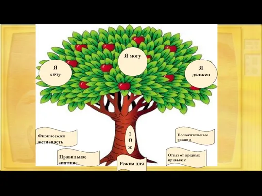 Я хочу Я должен З О ж Я могу Физическая активность Режим