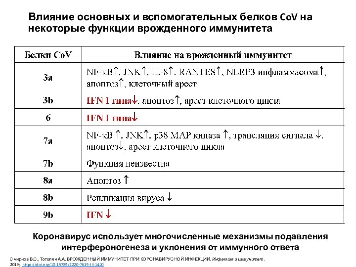 Влияние основных и вспомогательных белков CoV на некоторые функции врожденного иммунитета Коронавирус