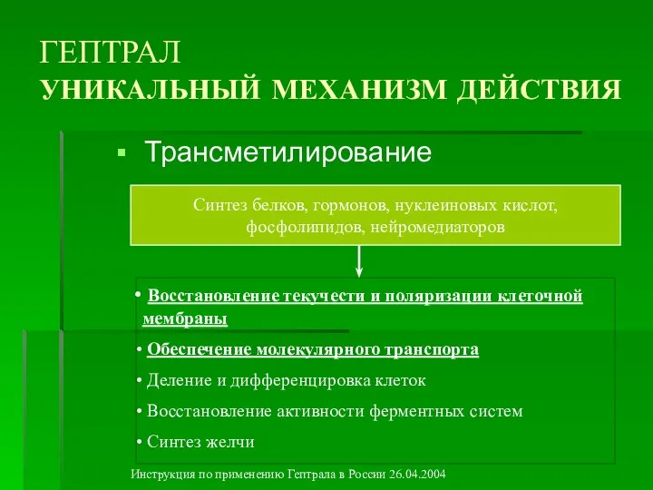 ГЕПТРАЛ УНИКАЛЬНЫЙ МЕХАНИЗМ ДЕЙСТВИЯ Трансметилирование Синтез белков, гормонов, нуклеиновых кислот, фосфолипидов, нейромедиаторов