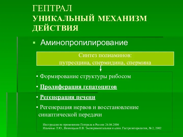 ГЕПТРАЛ УНИКАЛЬНЫЙ МЕХАНИЗМ ДЕЙСТВИЯ Аминопропилирование Синтез полиаминов: путресцина, спермидина, спермина Формирование структуры