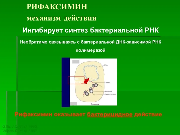 РИФАКСИМИН механизм действия Gillis J.C. et al. 1995; Vrijsen R. et al.