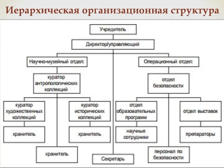 Иерархическая организационная структура