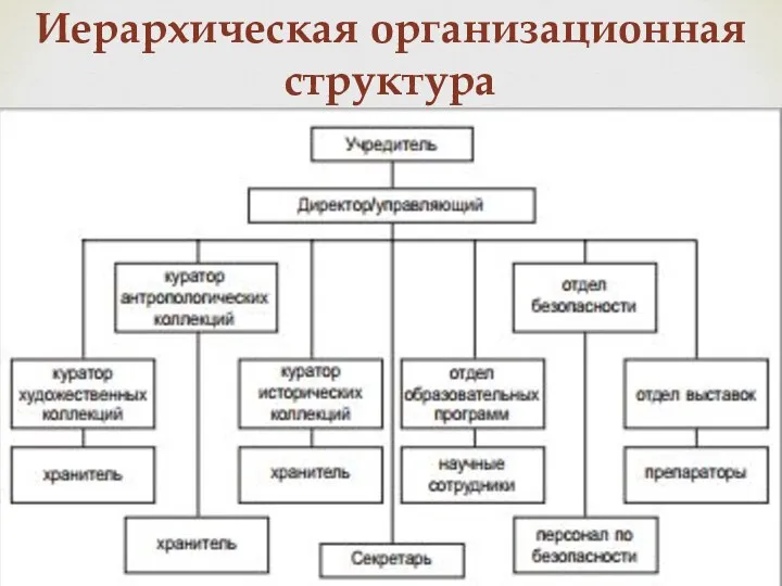 Иерархическая организационная структура