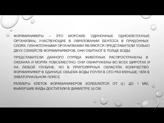 ФОРАМИНИФЕРЫ – ЭТО МОРСКИЕ ОДИНОЧНЫЕ ОДНОКЛЕТОЧНЫЕ ОРГАНИЗМЫ, УЧАСТВУЮЩИЕ В ОБРАЗОВАНИИ БЕНТОСА В