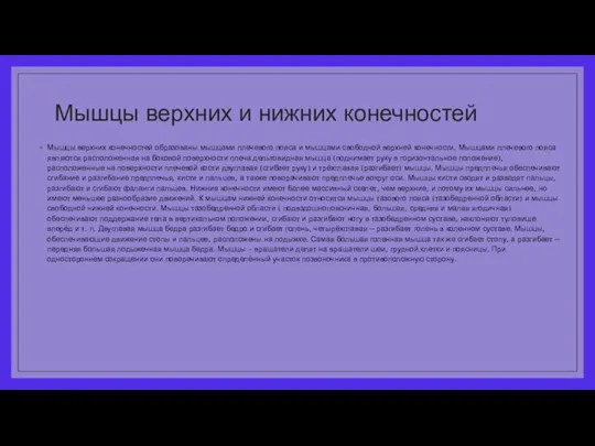 Мышцы верхних и нижних конечностей Мышцы верхних конечностей образованы мышцами плечевого пояса