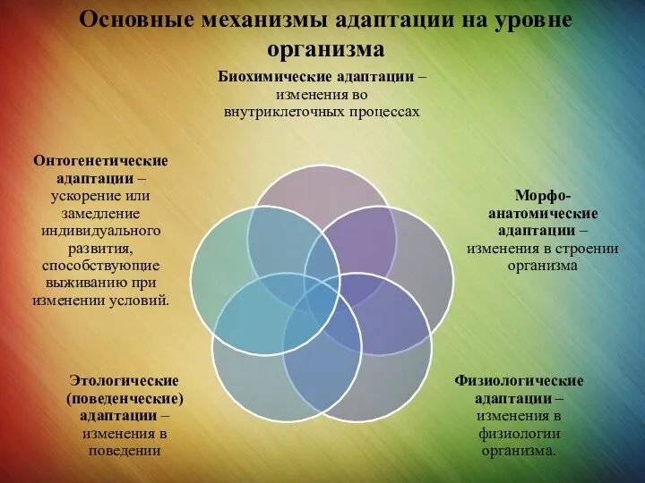 Основные механизмы адаптации на уровне организма