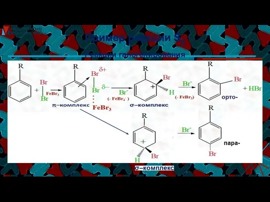 Пример реакции SE Реакции галогенирования