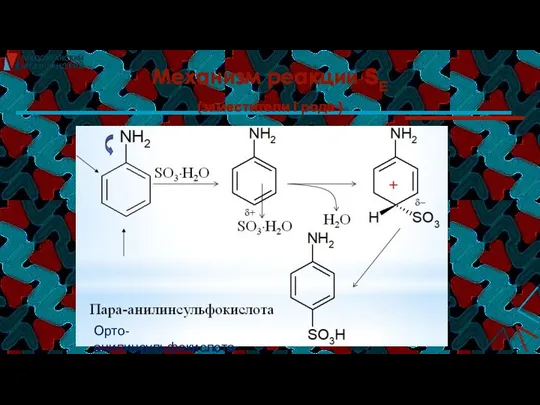 Механизм реакции SE (заместители I рода ) SE Орто-анилинсульфокислота