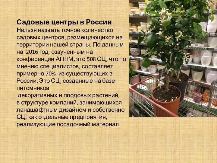 Садовые центры в России Нельзя назвать точное количество садовых центров, размещающихся на