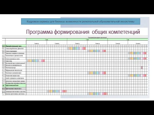 Кадровые сервисы для бизнеса: возможности региональной образовательной экосистемы