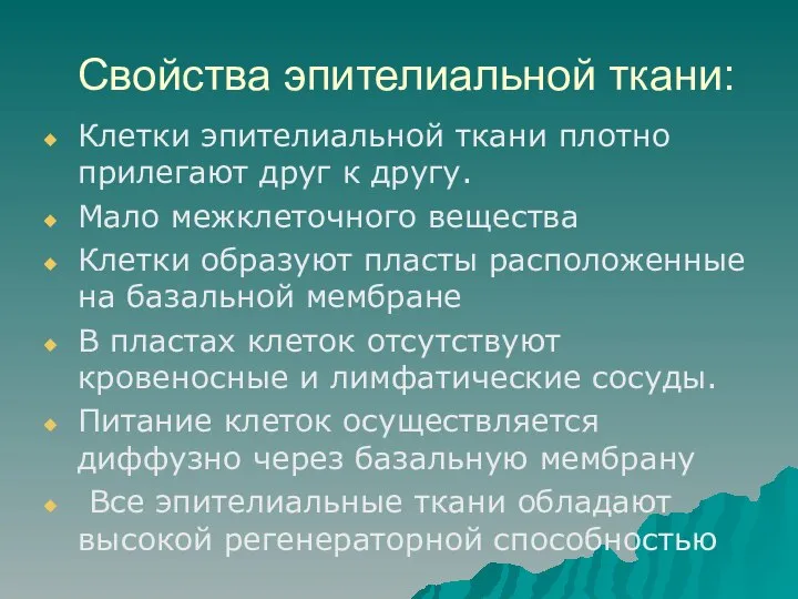 Свойства эпителиальной ткани: Клетки эпителиальной ткани плотно прилегают друг к другу. Мало