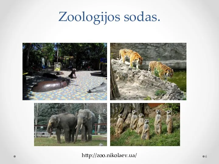 http://zoo.nikolaev.ua/ Zoologijos sodas.